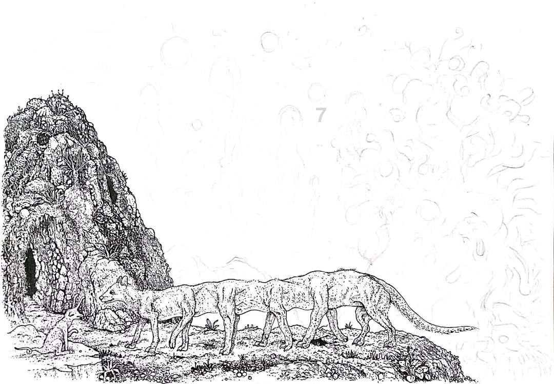纯种波斯猫价格 建议多了解它的性格