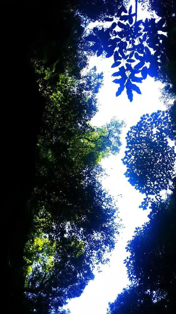 吃小龙虾好吗游戏画面